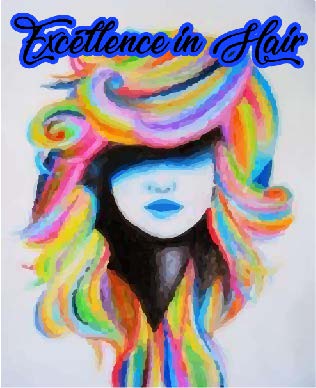 Excellence In Hair